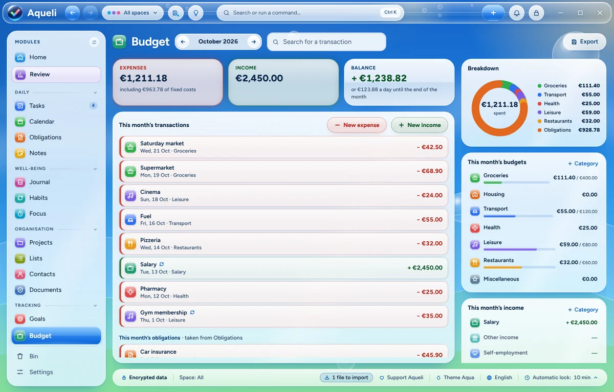 The month's budget, with spending by category